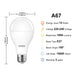 e27-led-light-bulbs-1800lm-a75-6500k-lvwit-1